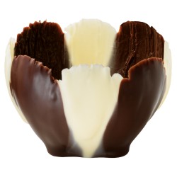 Chocolate Cups - Iris cups