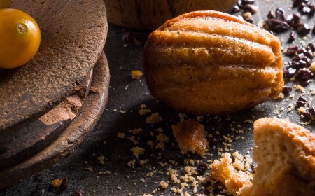 Chocolate Madeleines