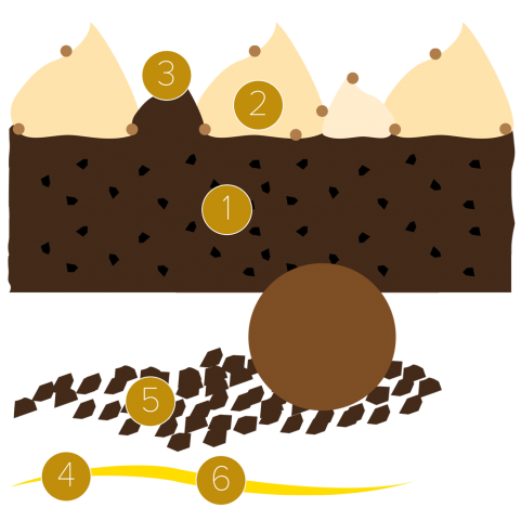 Brownie, zucca e vaniglia