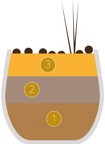 Gourmandise estivale mangue-chocolat