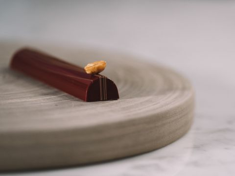 Caramel Peanut Molded Bars