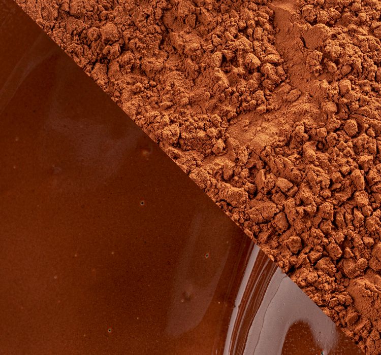 Cacao powder - Plein Arôme 22-24% - powder - 1kg bag (2)