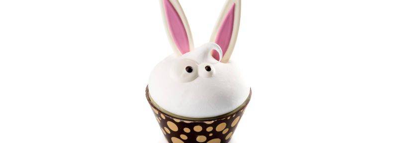 Cupcake Zephyr Citron