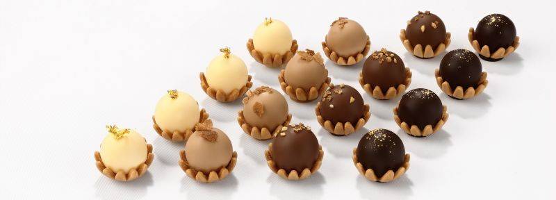 Crémeux chocolat Inaya™ 65%