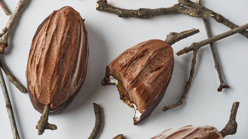 Evocao Ice Cream "Podwiches"