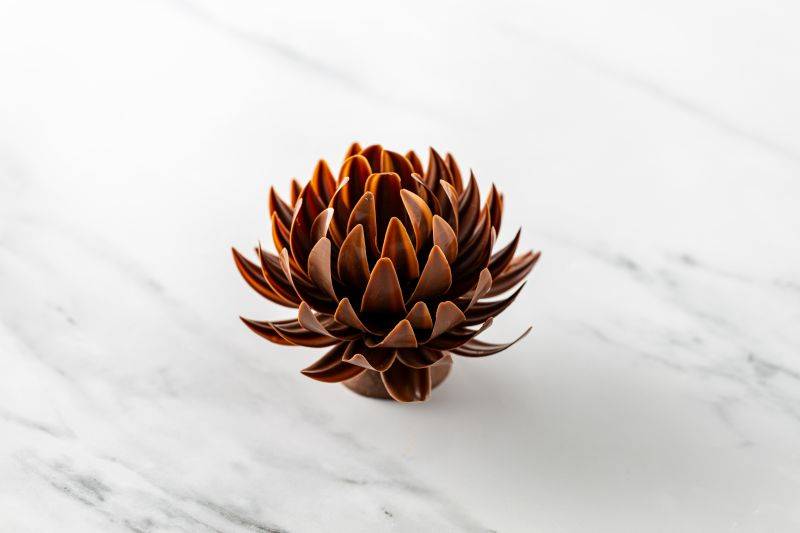Chocolate Flower