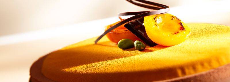 Apricot and dark chocolate cake
