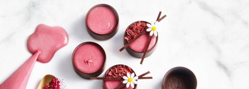 Crémeux au chocolat ruby