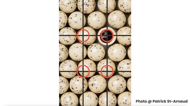 Food Photography Fundamentals: E04 - Composition