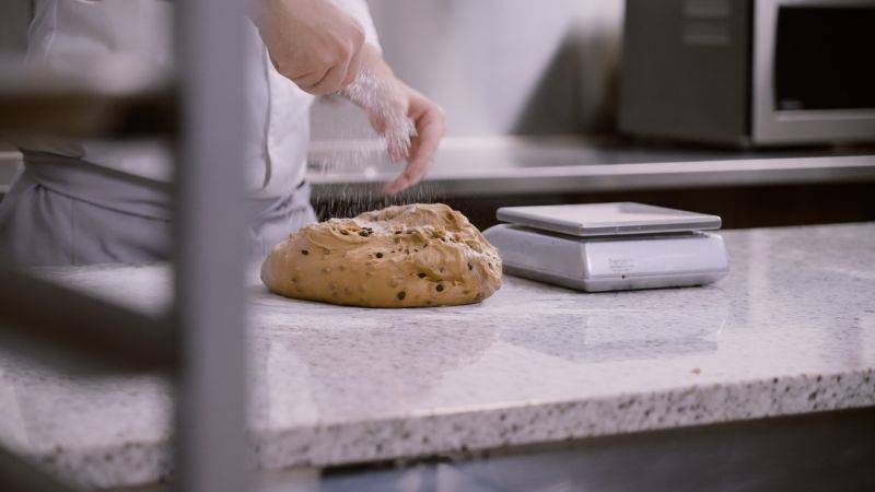 Brioche Chocolate Bread