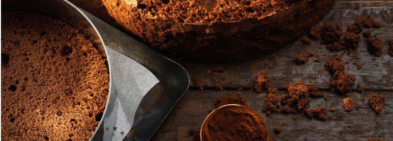 Gluten free cocoa sponge