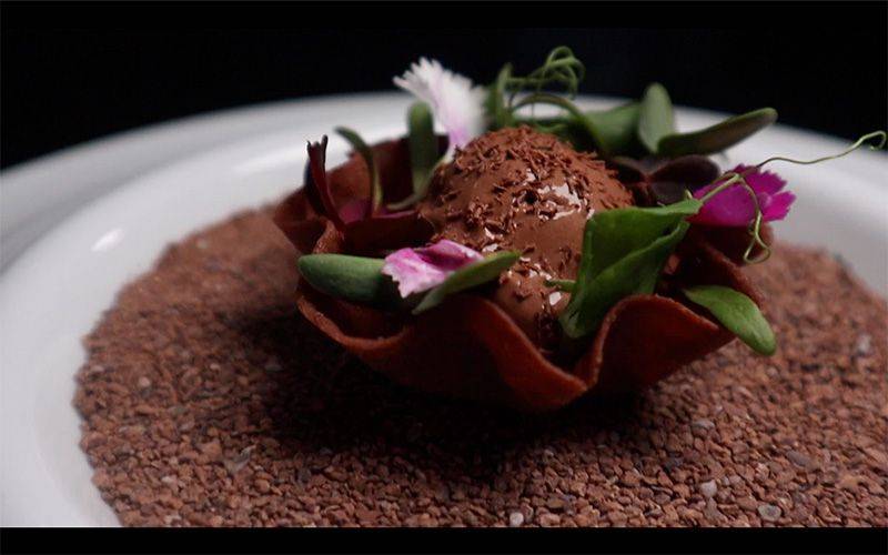 Sorbet de Whole Fruit