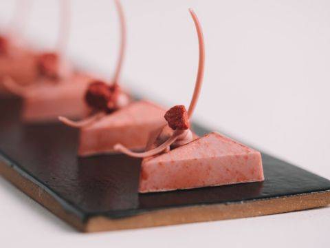 Demonstration video<span>Basil, Lime & Ruby Chocolate Molded Bonbons</span>