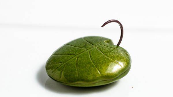 Lotus Leaf