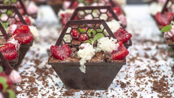 Hex and the city : grow your owm !