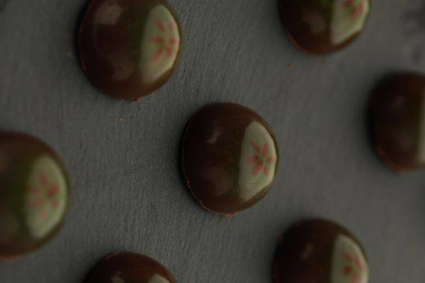 The Arabian Serenity