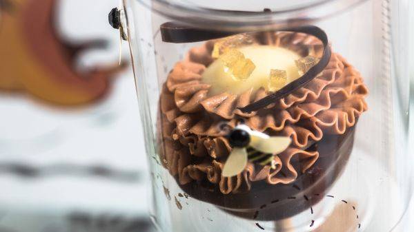 En Cas de 'Rush' (In Case of a Rush)