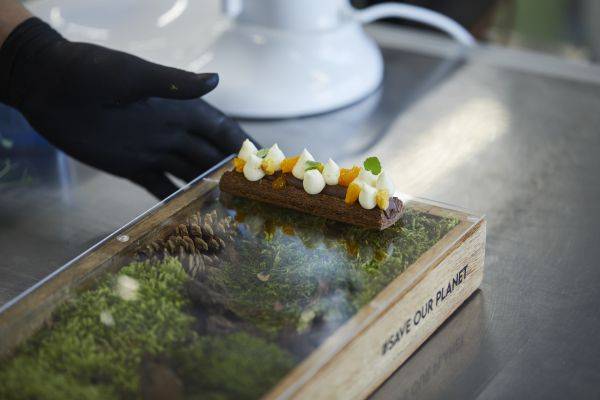 The lungs of the earth