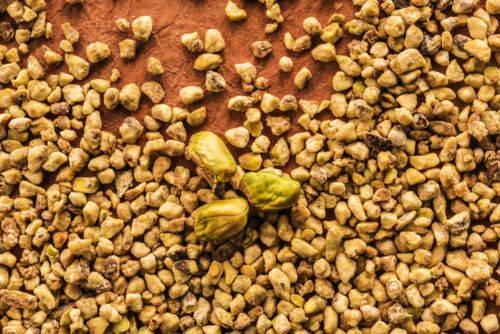 焙煎チョップドピスタチオ | La Morella Nuts