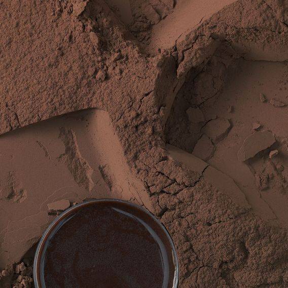 Dutched Cocoa Powder - Reddish Brown | Barry Callebaut