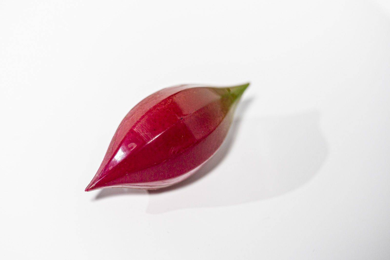 The Dream Fruit