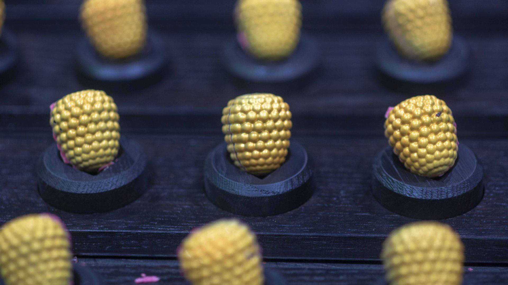 The Hybritage Raspberry