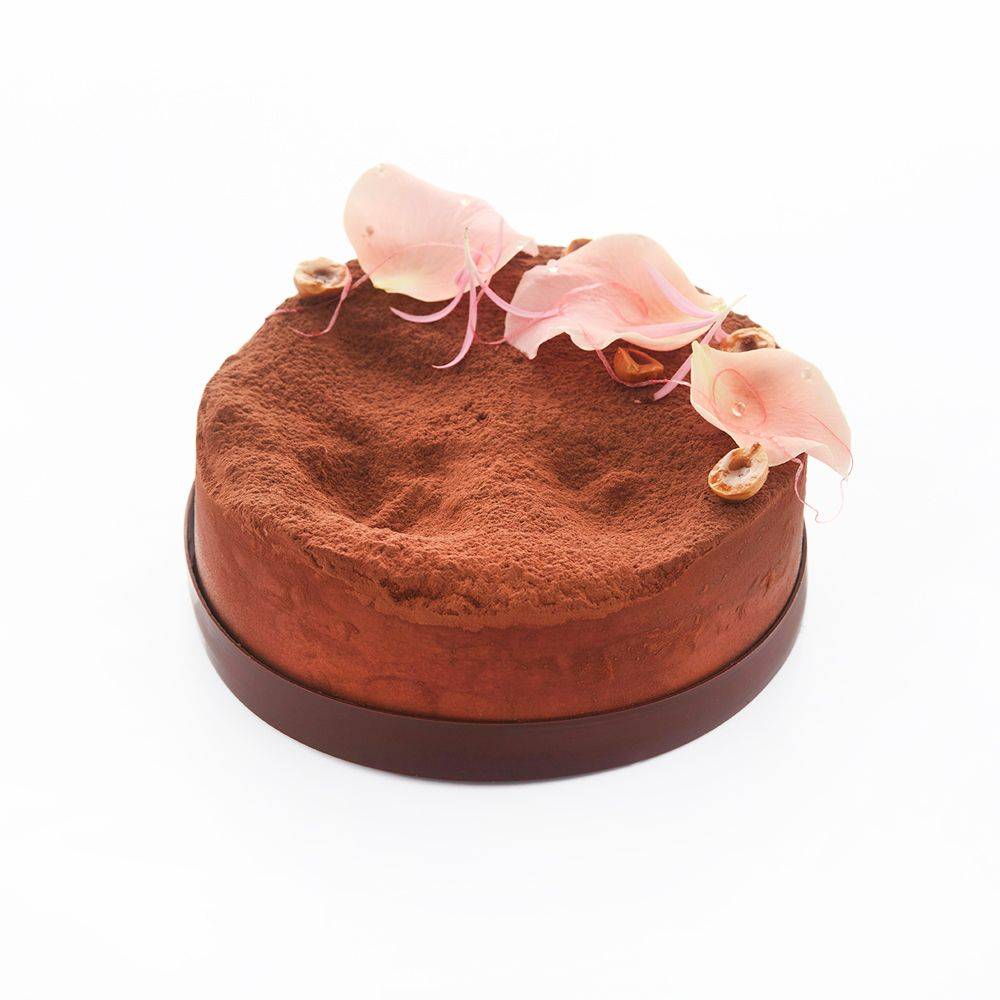 Cacao Barry - CACAO POWDER - DÉCOR CACAO 20-22% - POWDER