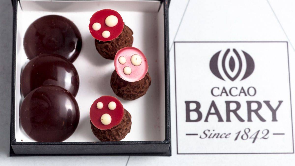 Amazônia | cacao-barry.com