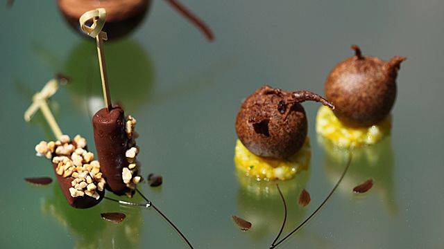 Le tout chocolat