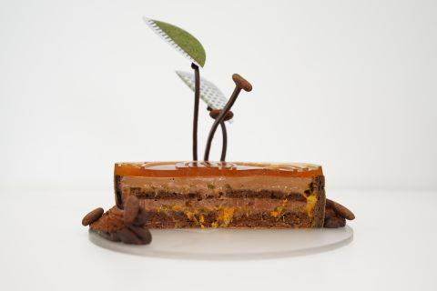 Taste of Maya