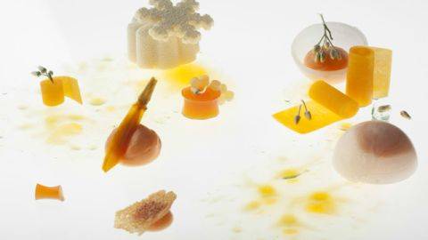 Carotte, potiron, mascarpone et orange sanguine