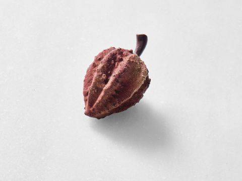 Demonstration video<span>Haba de Cacao</span>