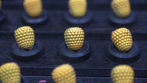 The Hybritage Raspberry