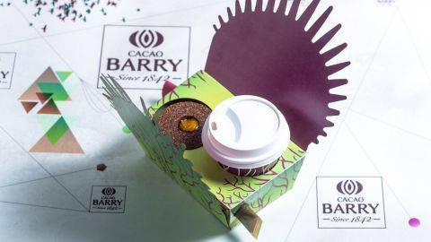Cacao Barry - DARK COUVERTURE - VENEZUELA 72% - PISTOLS - 2.5KG