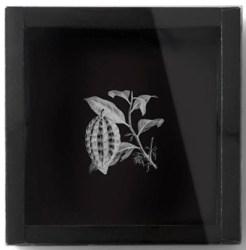 CAJA CHOCOLOOP - 30 UNIDADES