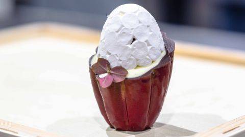 Cocoa Pod