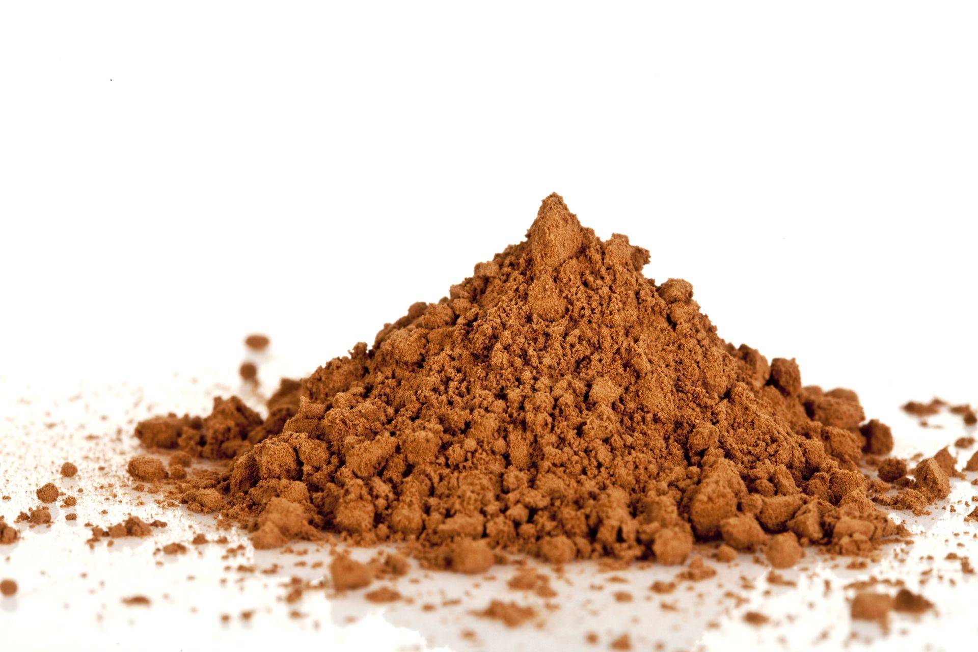 Barry Callebaut ポリカーボネート型 109 090180