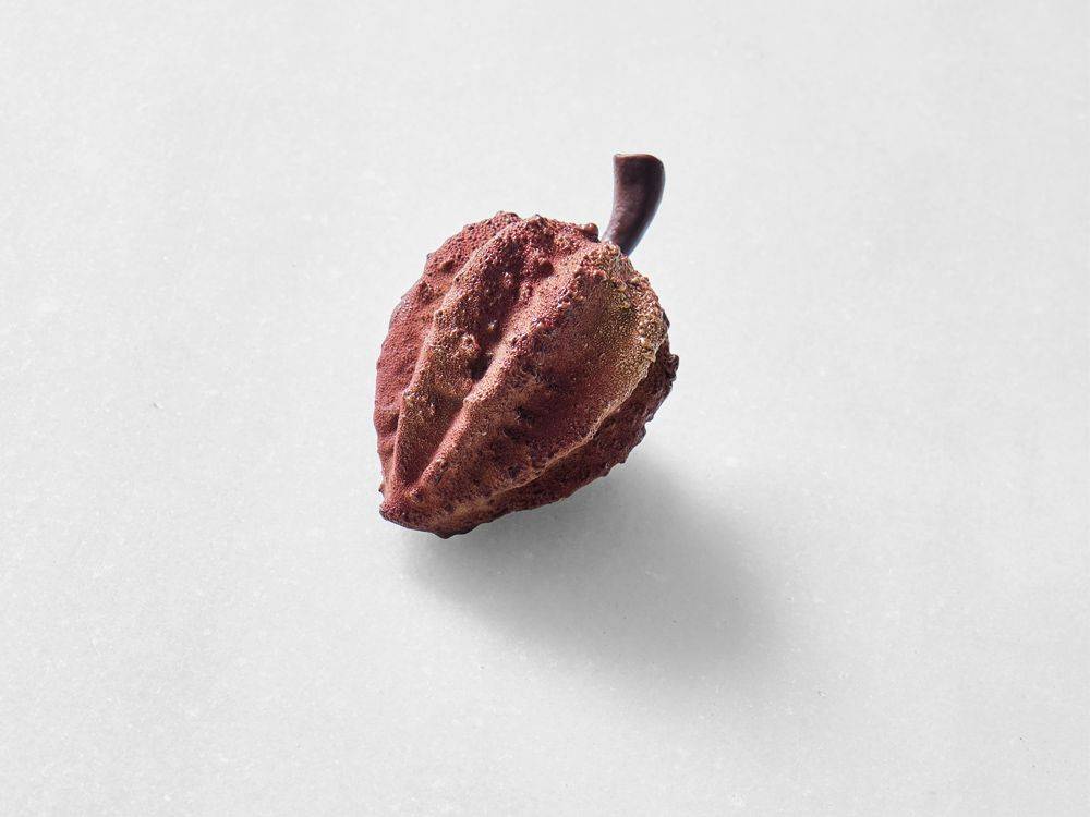 Haba de Cacao