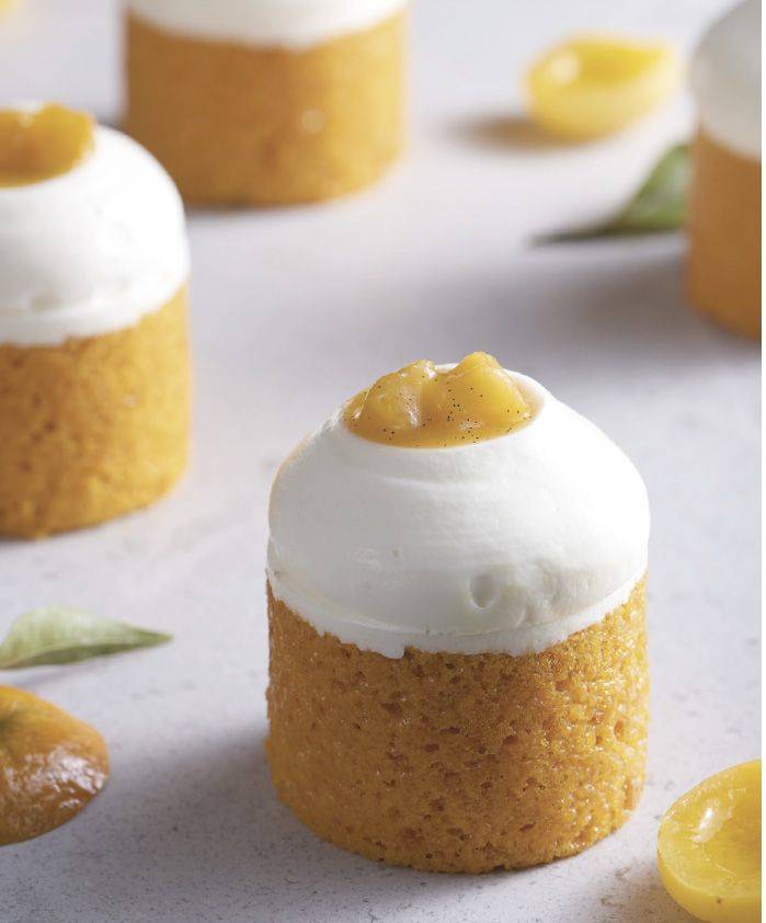 Apricot tube