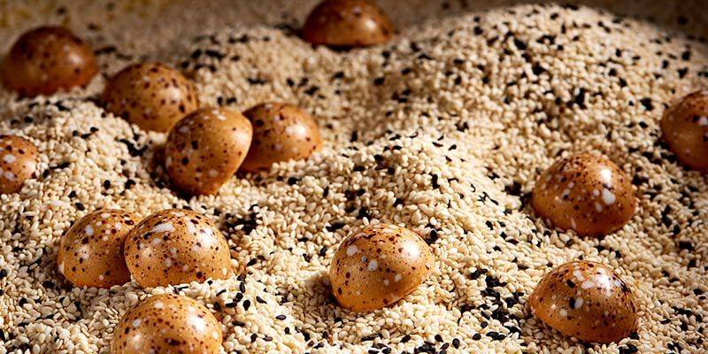 Quintin Sesame