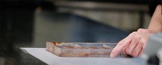 Conservazione - Come conservare i prodotti al cioccolato