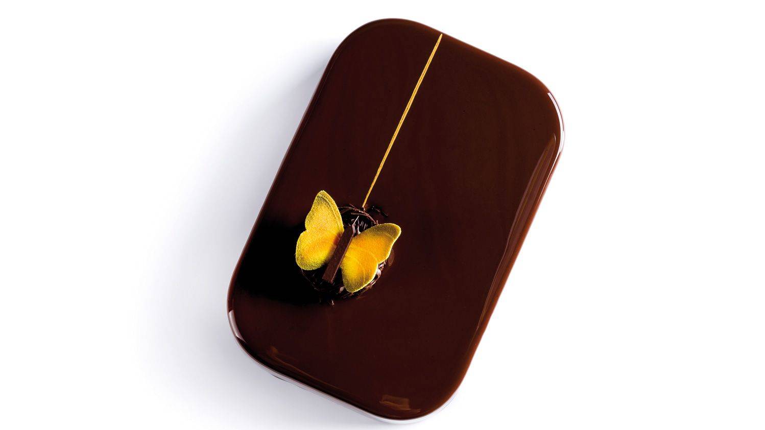 Entremets Abaeis Nicippiformis