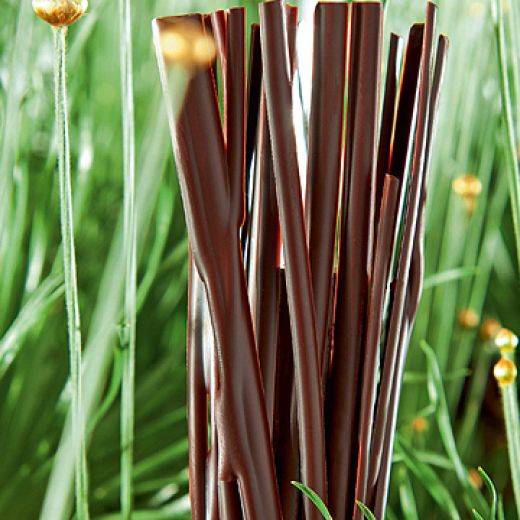 Brindille noisette