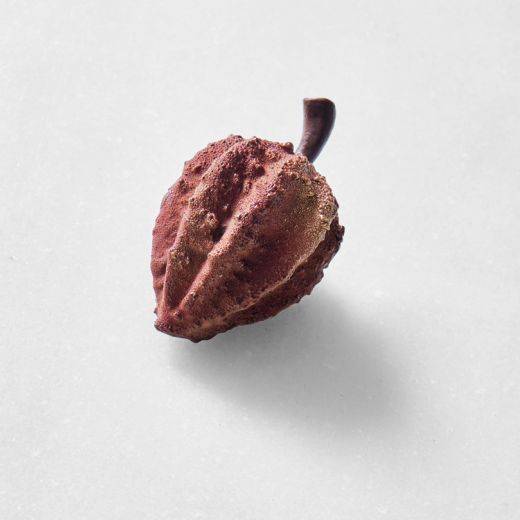 Demonstration video<span>Haba de Cacao</span>