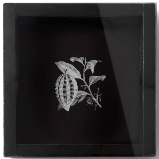 Packaging - Chocoloop Box - 30 units