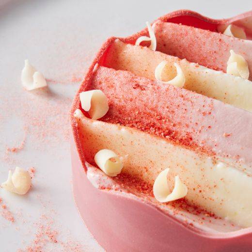Demonstration video<span>Raspberry Caramel Mascarpone Lime Ice Cream Cake</span>
