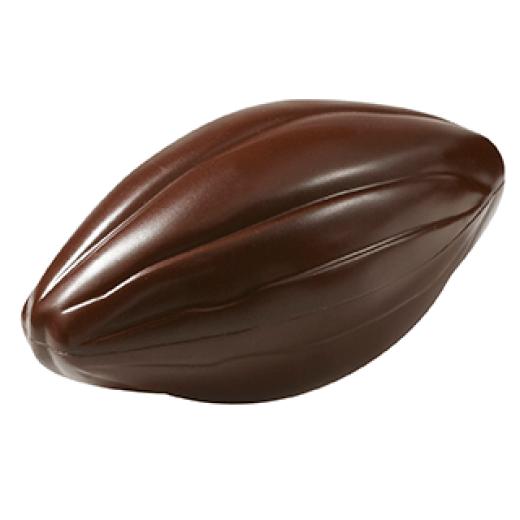 Mould - Cacao pods Duo - Tritan