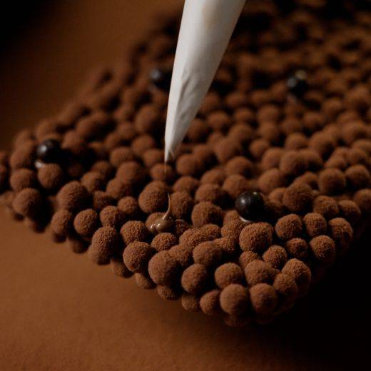 Demonstration video<span>Crispearls® Velvet Tablet</span>