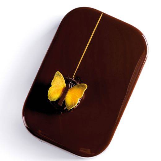 Entremets Abaeis Nicippiformis