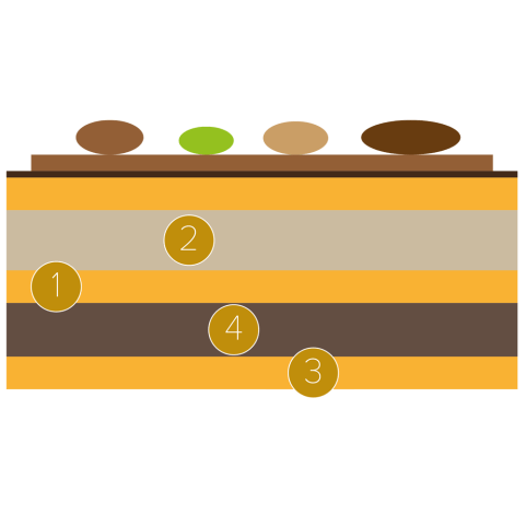 Opera cake with pecans